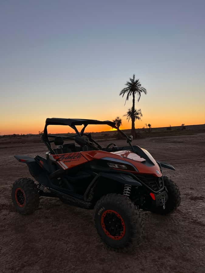 Marrakech: Palm Grove Sunset Buggy Tour - Who This Sunset Buggy Tour Is Perfect For
