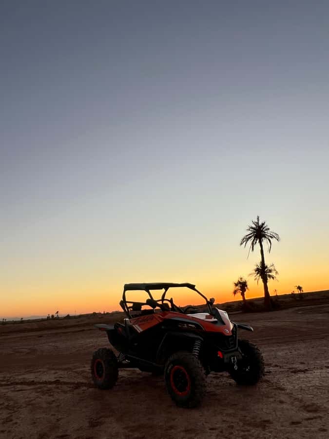 Marrakech: Palm Grove Sunset Buggy Tour - 1000cc Buggy Power in the Palmeraie