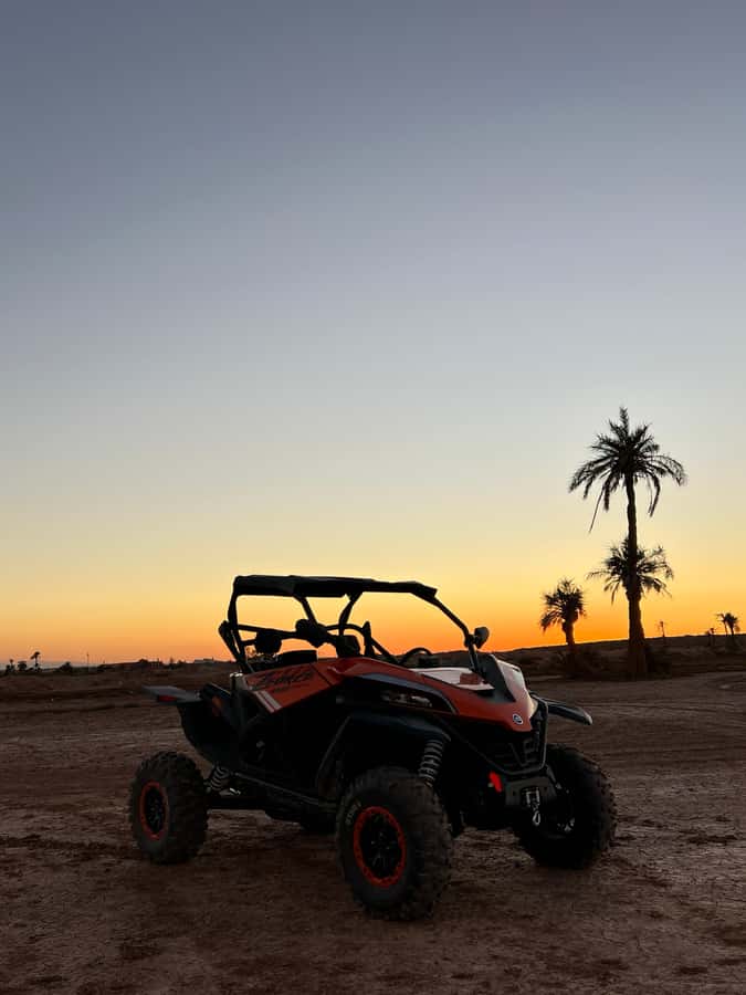 Marrakech: Palm Grove Sunset Buggy Tour - Safety Briefing and Controls: You Don’t Need a License