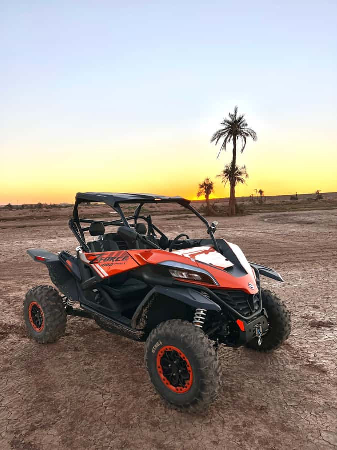 Marrakech: Palm Grove Sunset Buggy Tour - The Route: Rocky Tracks, Palm Groves, and Sunset Timing