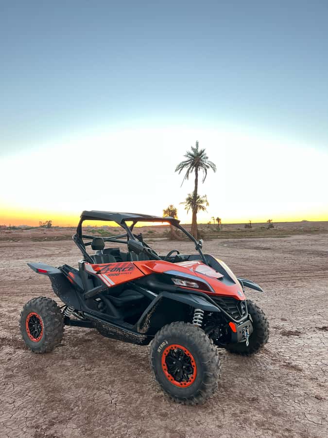 Marrakech: Palm Grove Sunset Buggy Tour - Tea Break With Honey and Olive Oil (A Real Pause, Not a Tourist Stop)