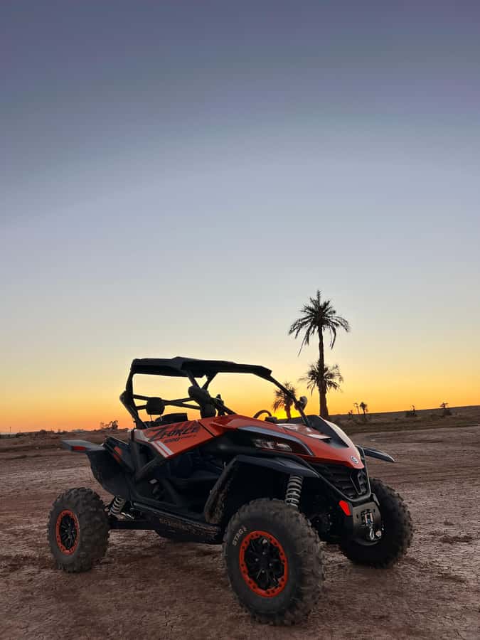 Marrakech: Palm Grove Sunset Buggy Tour - Photo Stop in the Palm Grove: Short, Useful, and Well-Planned