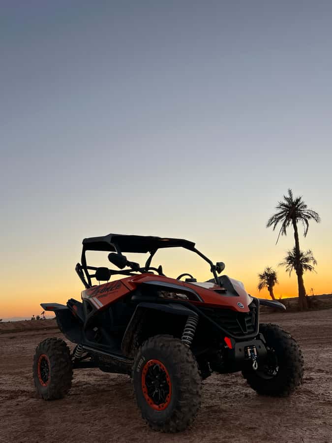 Marrakech: Palm Grove Sunset Buggy Tour - Back in the Dark: When the Tour Gets Extra Fun