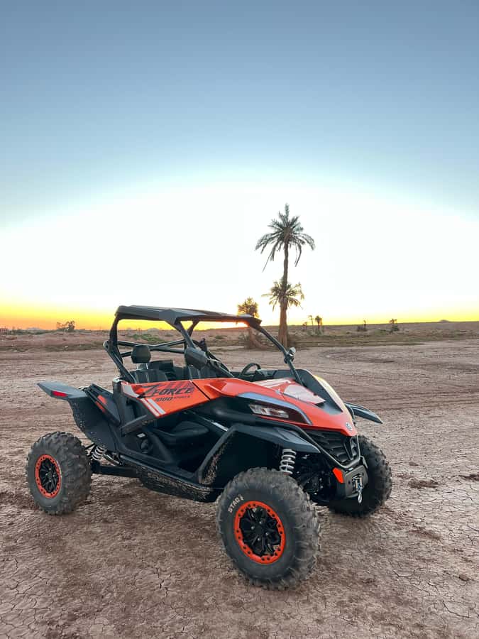 Marrakech: Palm Grove Sunset Buggy Tour - What’s Included in the $79 Price (and Why It Feels Fair)