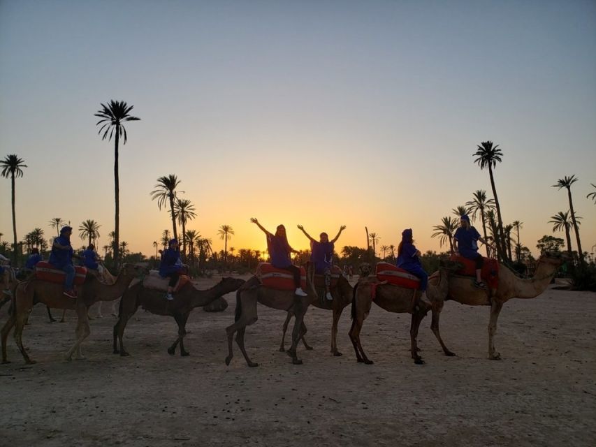 Marrakech palm grove: Sunset camel ride - Should you book this Marrakech sunset camel ride?