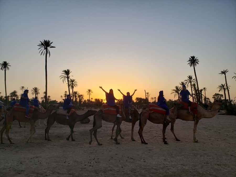 Marrakech palm grove: Sunset camel ride - Group size, comfort, and practical dress tips