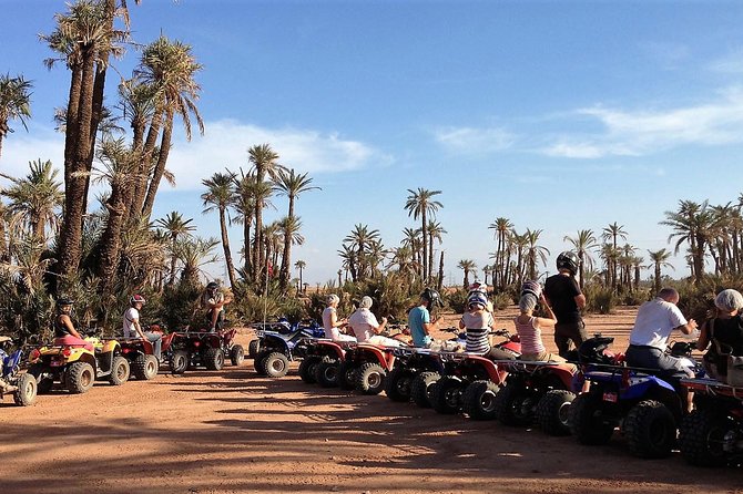 Marrakech Palm Oasis and Desert Quad Bike Adventure - Who This Trip Fits Best: First Timers, Small Groups, and Active Mornings