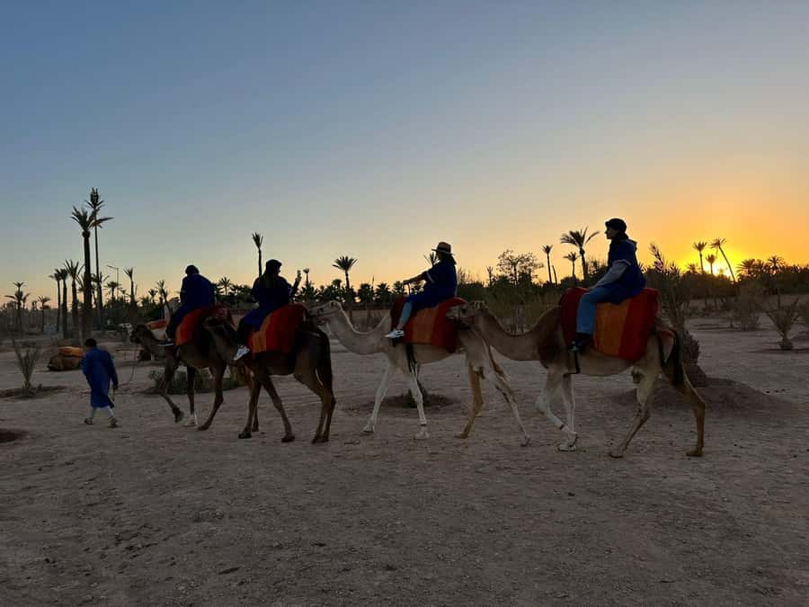 Marrakech Palmeraie Camel Ride Adventure - Palmeraie Camel Ride in Marrakesh: Why This 2-Hour Break Works