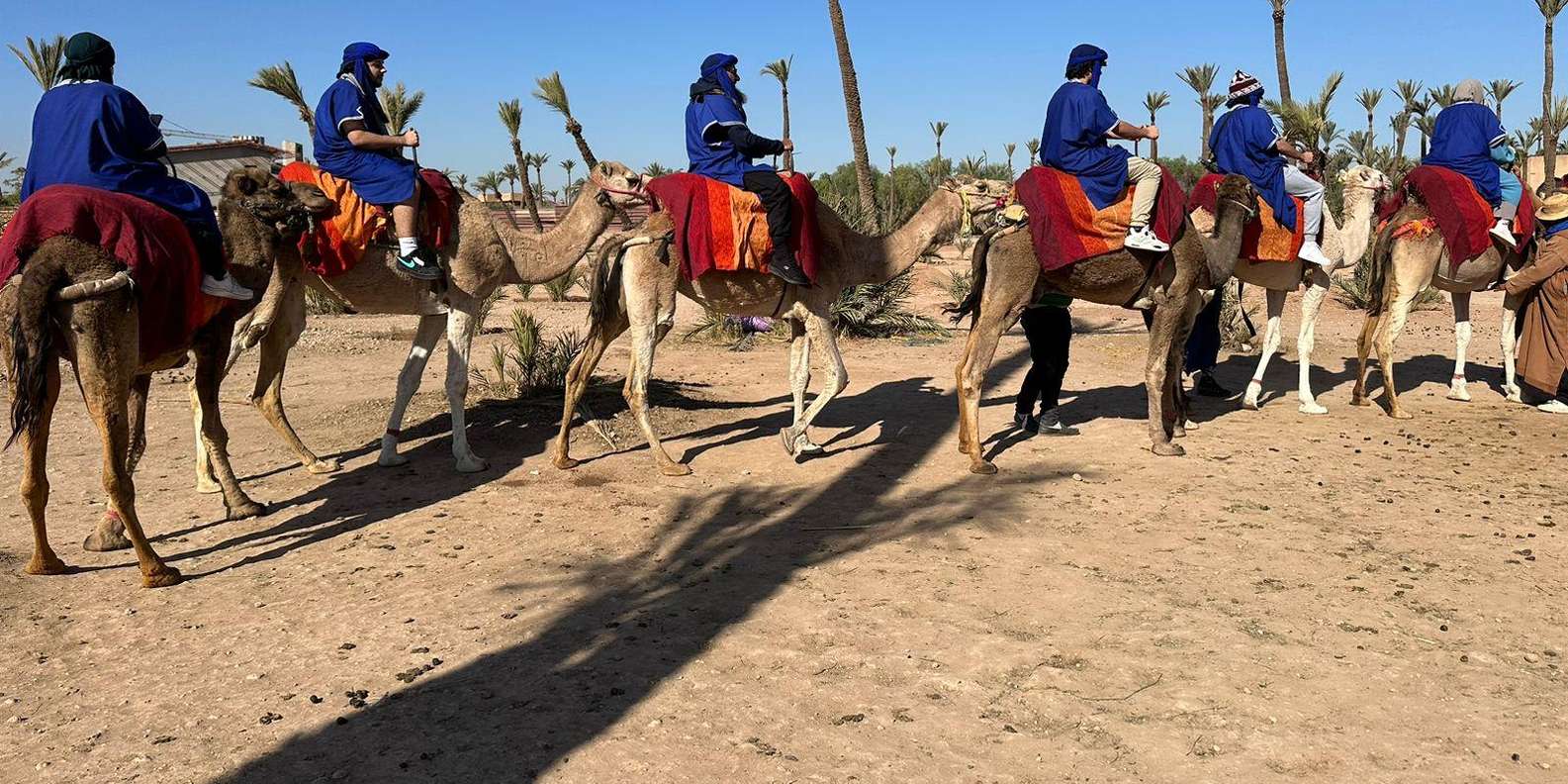 Marrakech Palmeraie Camel Ride Adventure - The Camel Ride Through Palmeraie: Pace, Scenery, and Expectations