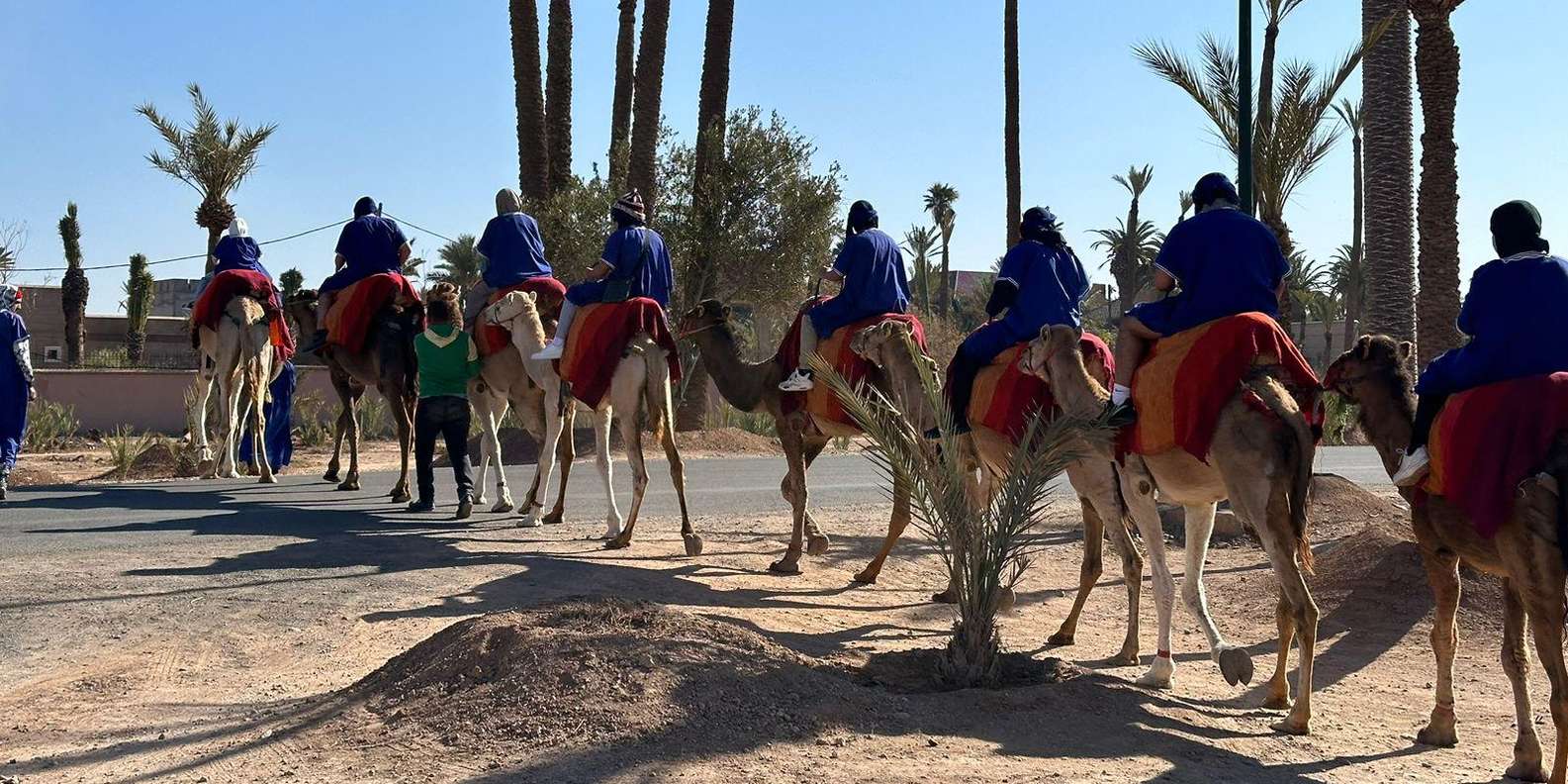 Marrakech Palmeraie Camel Ride Adventure - Stopping for Mint Tea in Villages: Why This Break Is the Real Reward