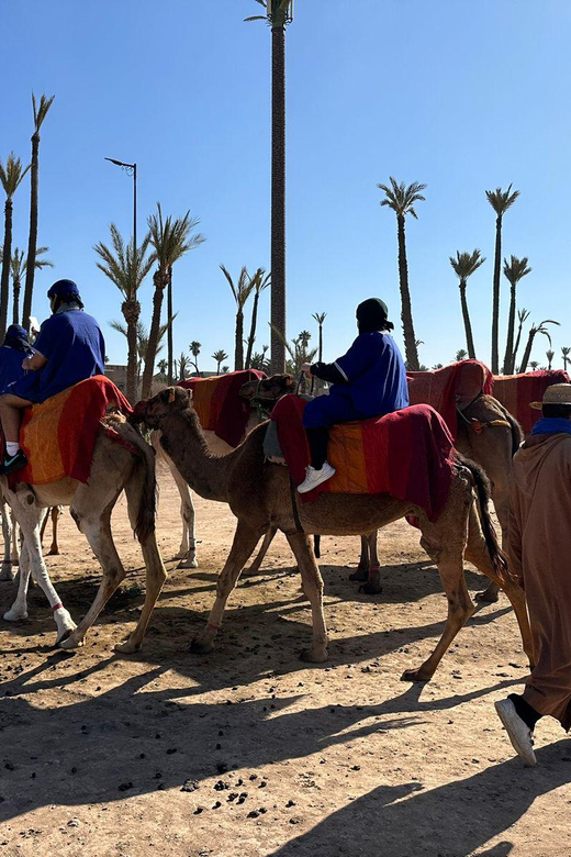 Marrakech Palmeraie Camel Ride Adventure - Guide Photos and Personal Attention: How the Tour Captures the Moment