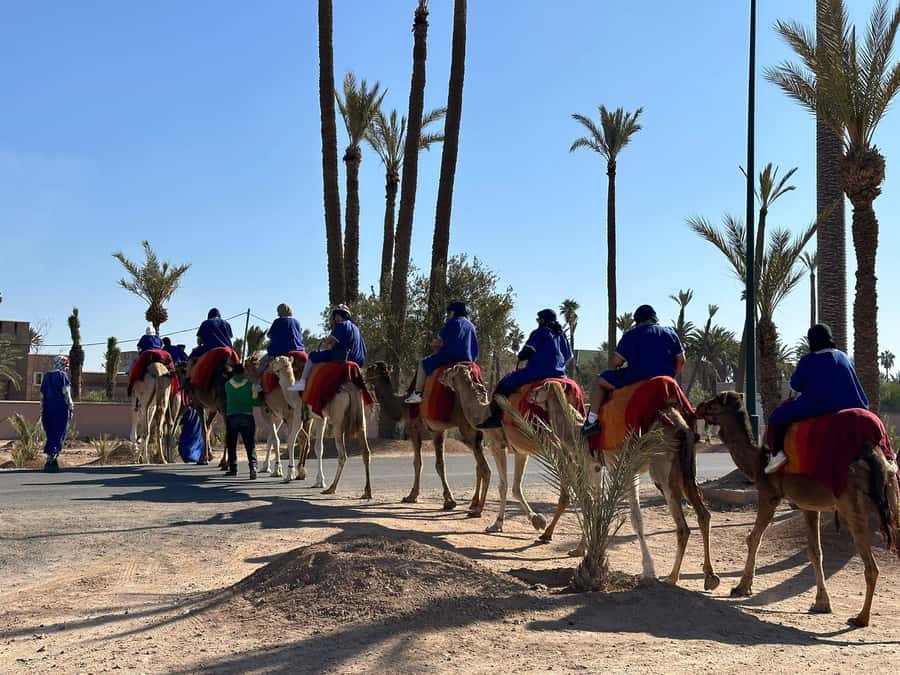 Marrakech Palmeraie Camel Ride Adventure - What to Bring (So You Don’t Regret It Later)