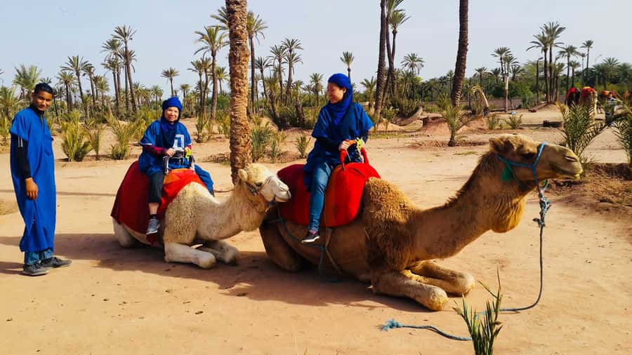 Marrakech Palmeraie: Camel Ride & Quad Bike Experience - Key points that make this Palmeraie day work