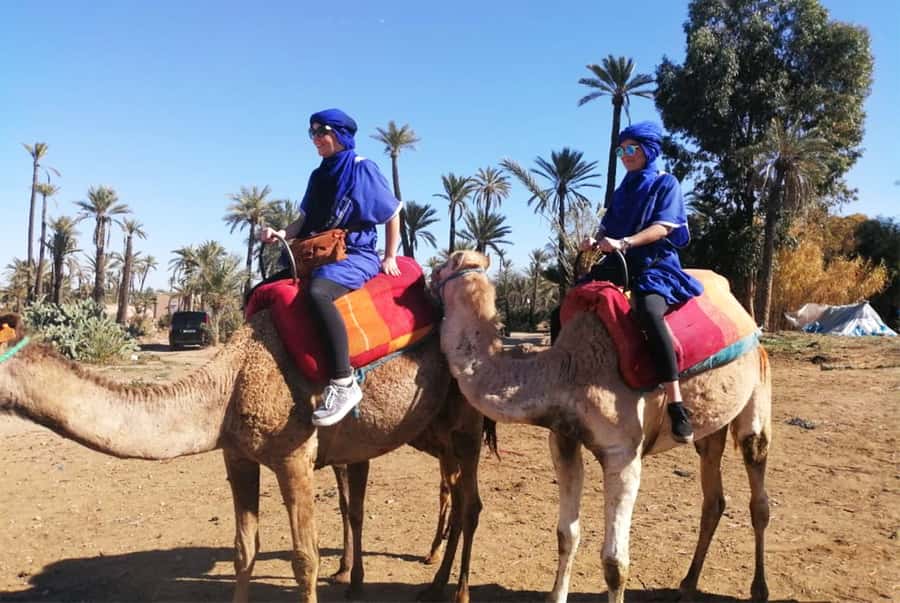 Marrakech Palmeraie: Camel Ride & Quad Bike Experience - Camel riding in the La Palmeraie oasis: palms, patience, and a Berber-style welcome