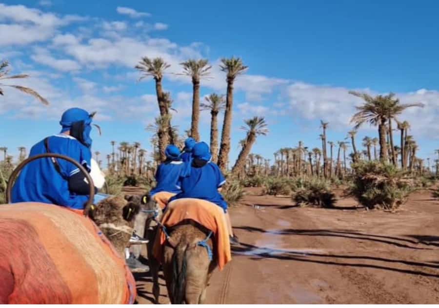 Marrakech: Palmeraie Camel Ride & Traditional Moroccan Spa - Traditional Moroccan spa in the medina: how the hammam portion works