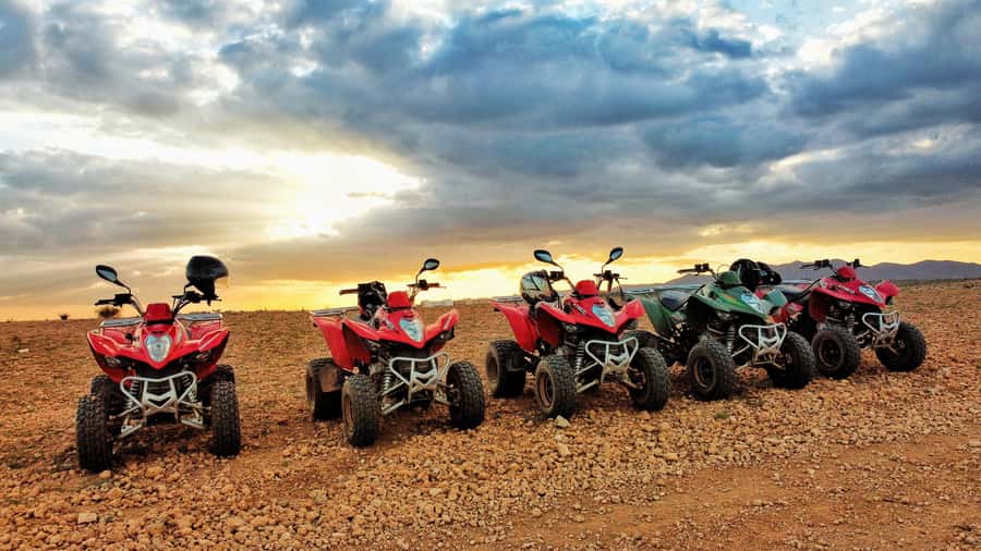 Marrakech: Palmeraie Guided Quad Biking Tour with Tea - Marrakech Palmeraie quad biking: where the ride actually feels fun