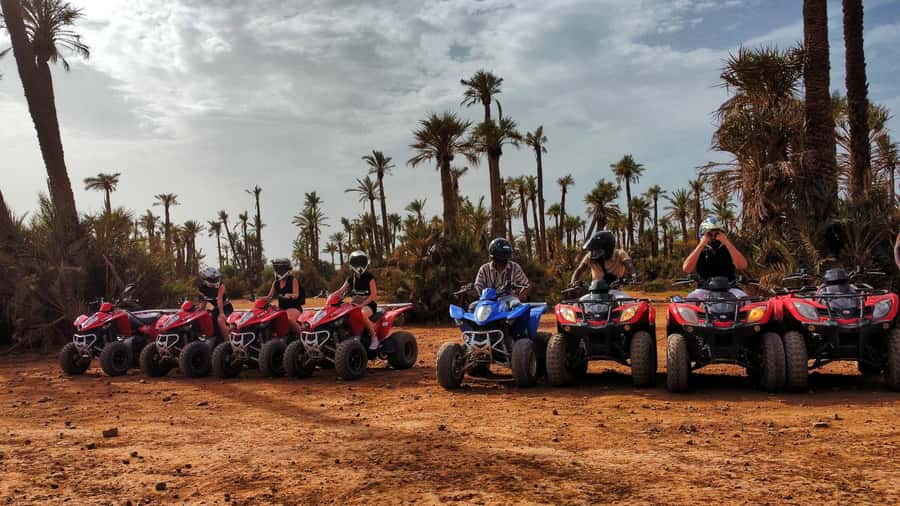 Marrakech: Palmeraie Guided Quad Biking Tour with Tea - Berber village-style tea stop: mint tea, bread with honey, and olives