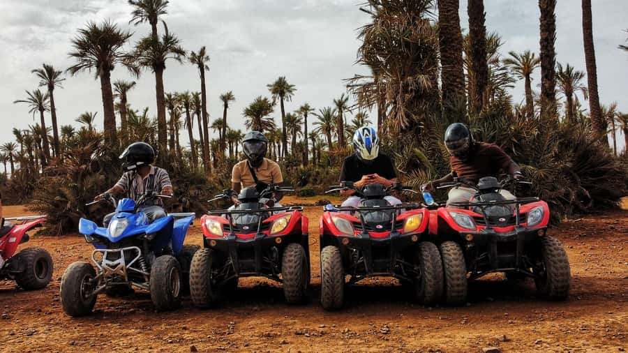 Marrakech: Palmeraie Guided Quad Biking Tour with Tea - Guides and group size: why first-timers feel safe