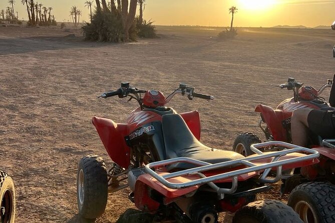 Marrakech palmeraie Quad Bike Experience with transfers - Key Highlights