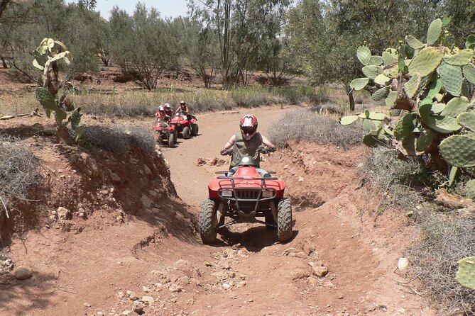 Marrakech palmeraie Quad Bike Experience with transfers - Riding Through Sand, Rough Edges, and Palm Groves by the River