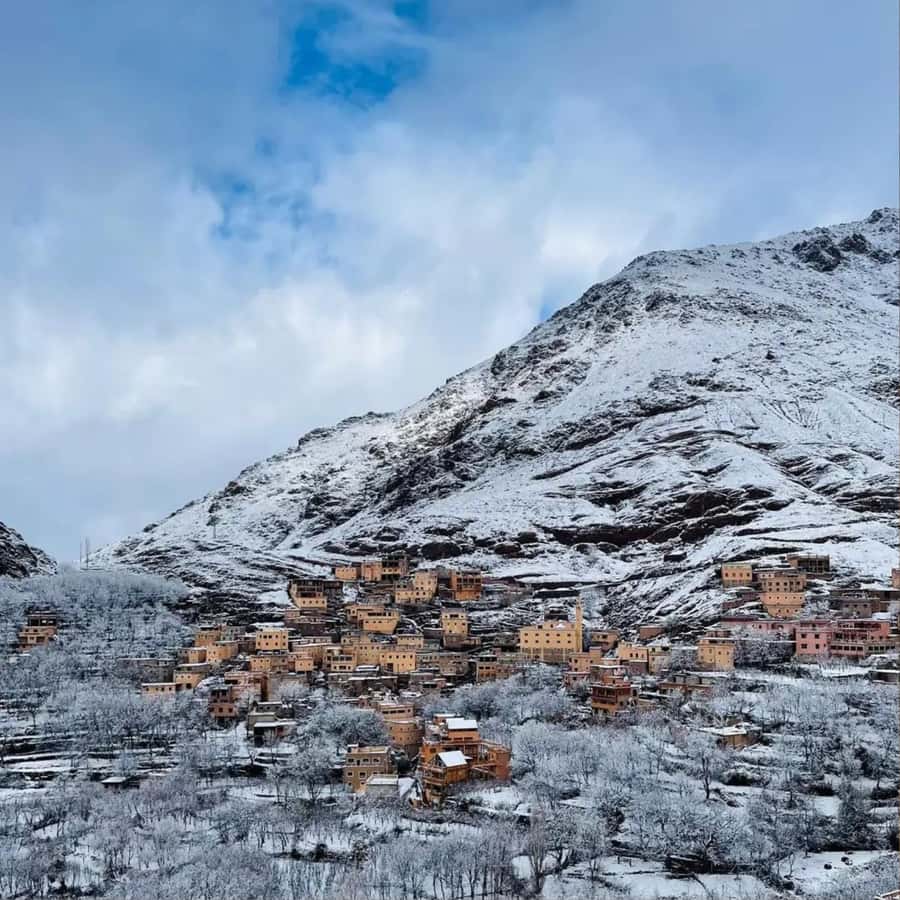 Marrakech: Paragliding, Camel Ride & Berber Villages Trip - Argan oil cooperative in the Atlas: where the learning actually happens