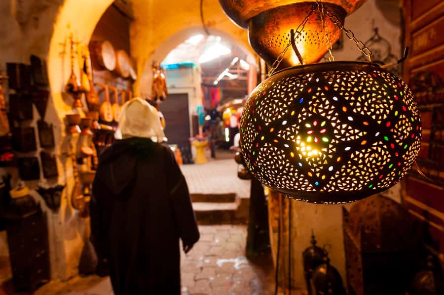 Marrakech: Private Full-Day City Tour w/ Majorelle Garden - Majorelle Garden: Cobalt Blues, Exotic Plants, and Your Pace