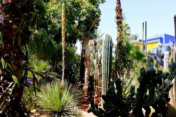 Marrakech Private Full-Day Walking Tour with Hotel Pickup and Drop-Off - Why the medina feels easier with a guide