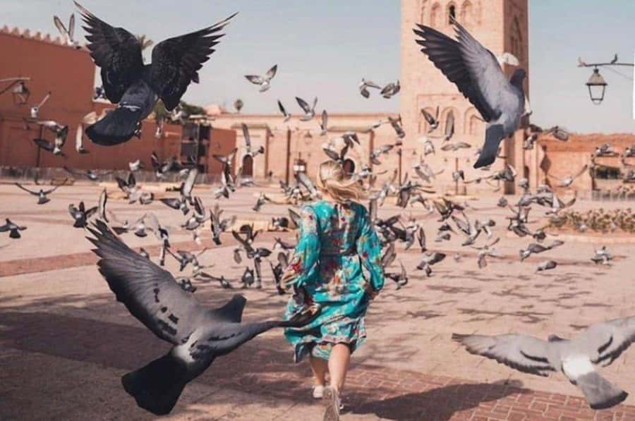 Marrakech: private Guided tour Of Vibrant Souks - Key highlights worth planning around
