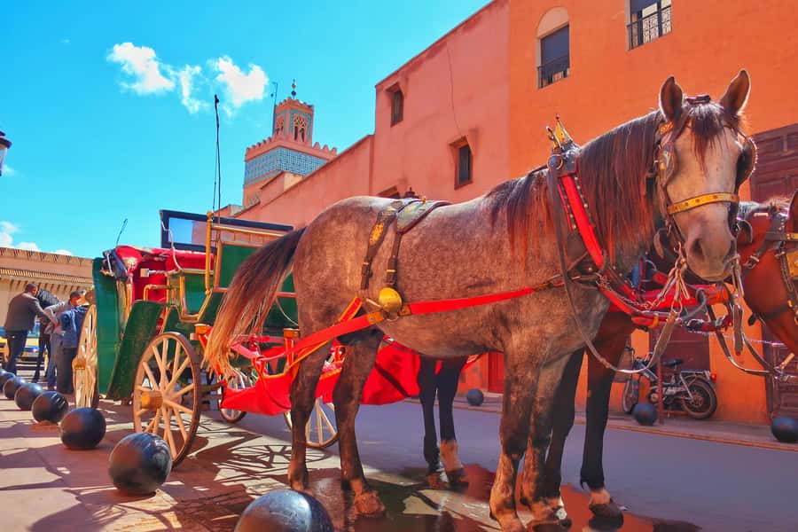 Marrakech: Private Half-Day City Highlights Tour - Key moments that make this Marrakech highlights tour work