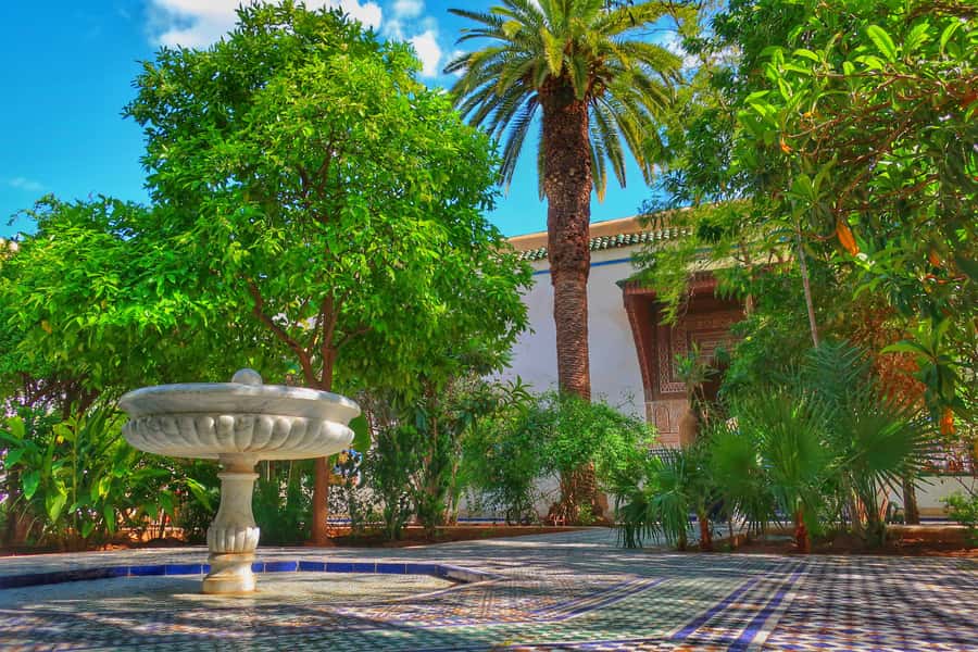 Marrakech: Private Half-Day City Highlights Tour - Vehicle comfort and pickup: the easy start you’ll appreciate