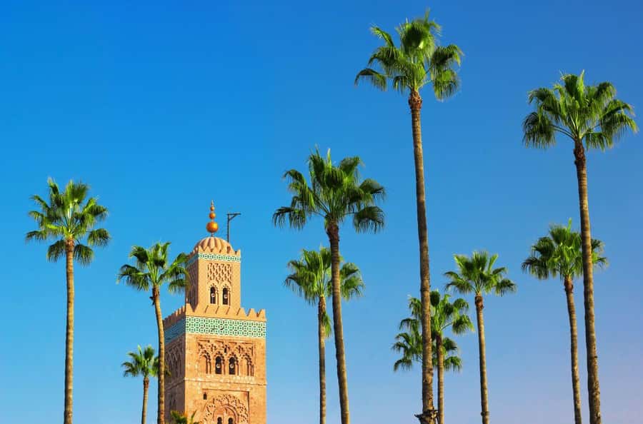 Marrakech Private Medina Tour: Bahia Palace & Ben Youssef - Souks and Jemaa el‑Fna: The Route Makes Sense of the Noise