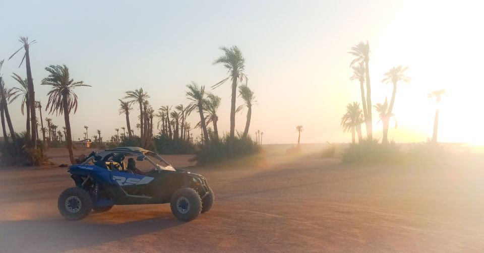 Marrakech: Private Palm Grove Camel and Quad Bike Ride - Key Highlights You’ll Care About Most