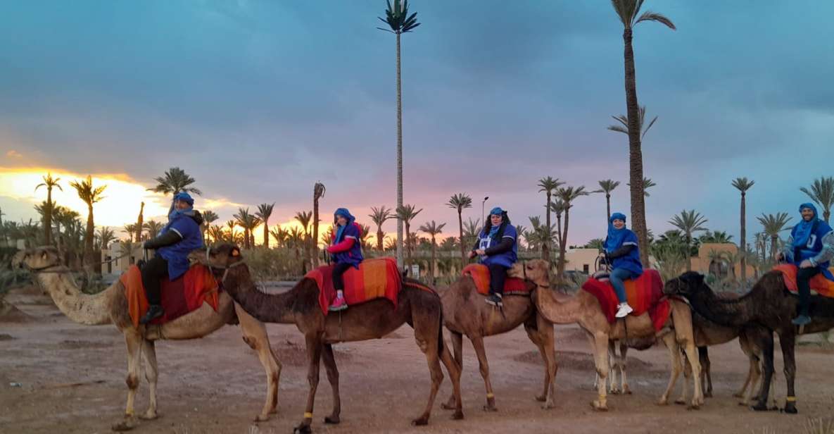 Marrakech: Private Palm Grove Camel and Quad Bike Ride - Marrakech Palm Grove Break: Why This Ride Feels Different