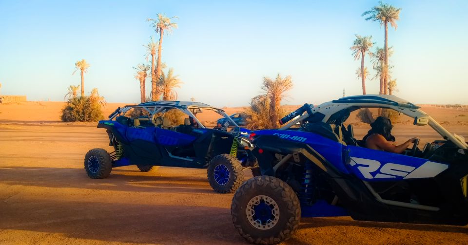Marrakech: Private Palm Grove Camel and Quad Bike Ride - The Quad Bike (2 Hours): Fun Speed, Palm-Grove Trails, Real Control