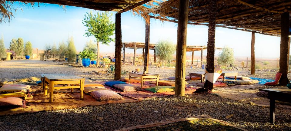 Marrakech: Private Palm Grove Camel and Quad Bike Ride - Price and Value at About $58 Per Person