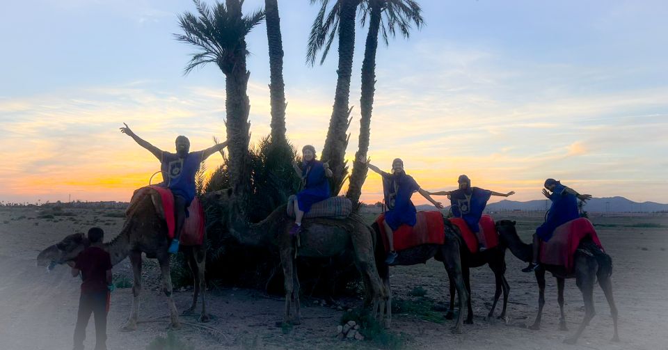 Marrakech: Private Palm Grove Camel and Quad Bike Ride - Who This Private Palm Grove Camel and Quad Ride Is Best For