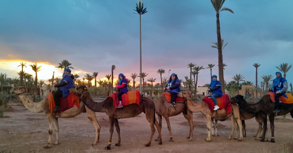 Marrakech: Private Palm Grove Camel and Quad Bike Ride - What to Bring: Shoes, Clothes, and a Few Smart Comfort Choices