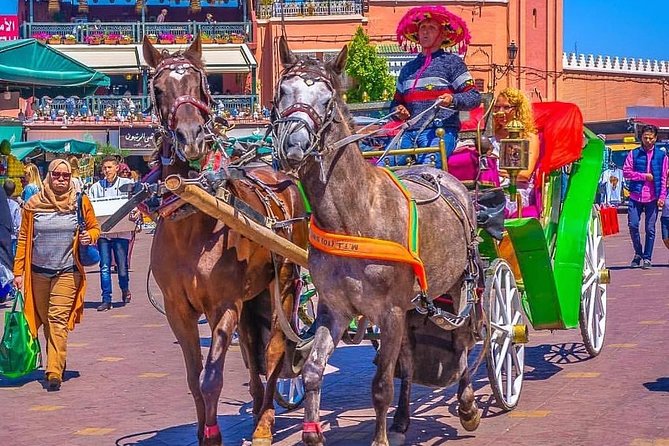 Marrakech Private Souks Tour: Exclusive Shopping Experience - Who This Tour Suits Best
