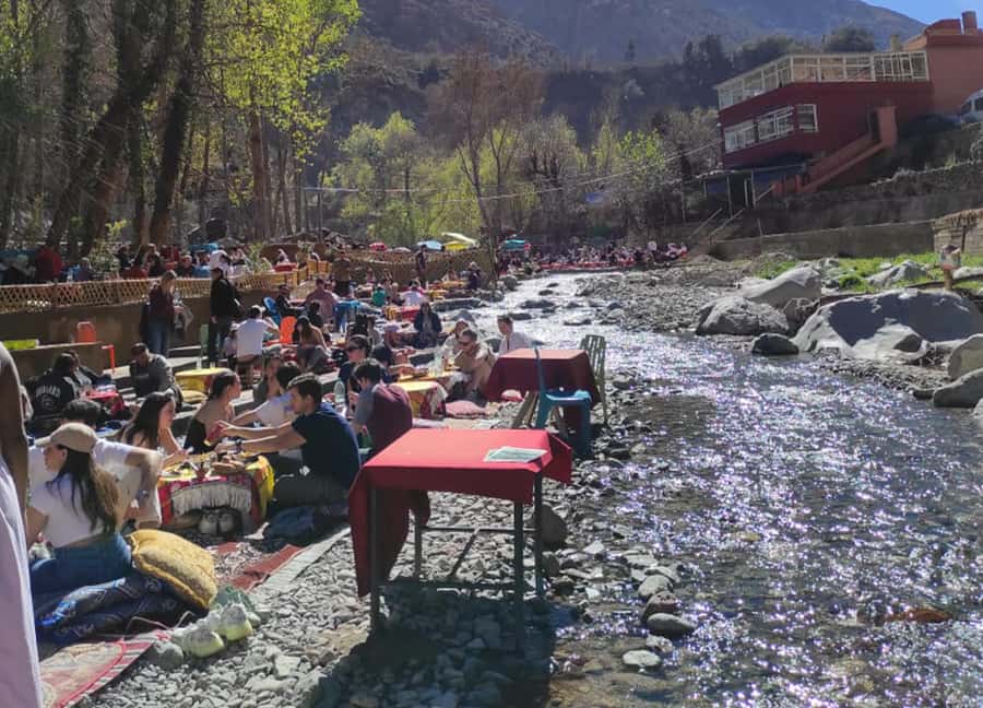 Marrakech : Private To Ourika Valley Atlas Mountains & Lunch - Lunch in the Valley: Full-Course Moroccan Food and Real Break Time