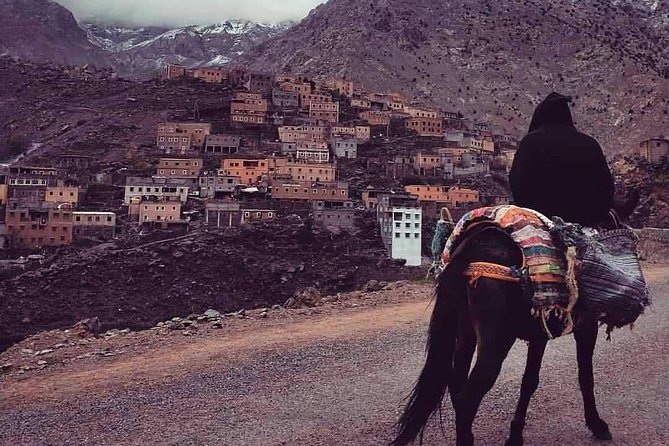 Marrakech : Private Transfer to/from RAK Airport - A Private RAK-to-Marrakech Ride That Keeps Your Day Yours