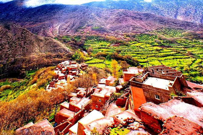 Marrakech : Private Transfer to/from RAK Airport - Atlas Valley Stops and Camel Riding: What You’ll Feel, Not Just See