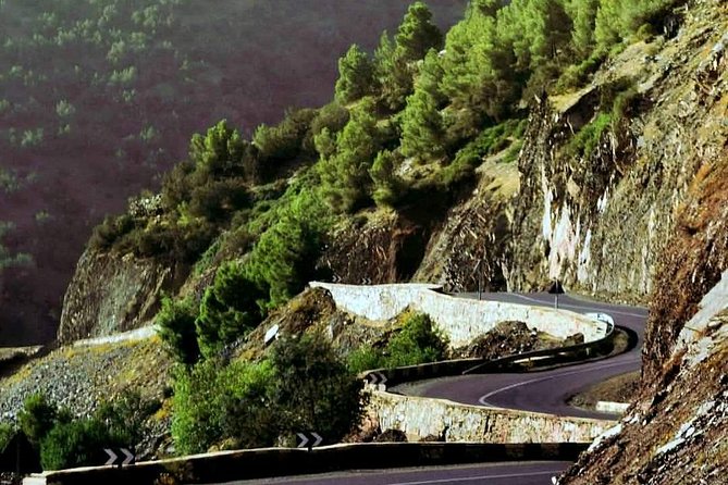 Marrakech : Private Transfer to/from RAK Airport - The Berber Village Experience: Learning the Human Side