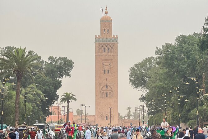 Marrakech Private Tuk Tuk Tour with Expert Guide - Key Highlights You’ll Actually Feel on the Ground