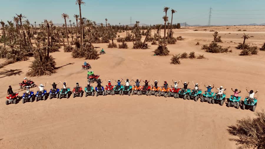 Marrakech: Quad activity in the Palmeraie with Tea break - Key points before you book