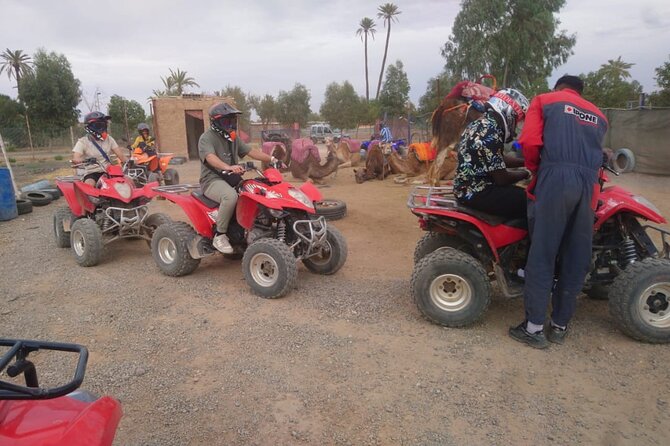 Marrakech Quad Bike Activity in desert palmeraies grove - Quad Bike Through Marrakech’s Palm Groves: What the Experience Really Feels Like