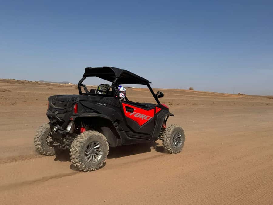 Marrakech: Quad bike adventure in the desert with views of the Palmeraie - Price and value: is $23 per person a good deal?