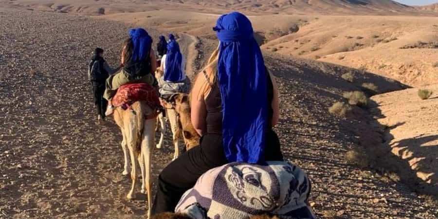 Marrakech: Quad Bike and Camel, Dinner Show in Agafay Desert - Argan oil cooperative and mint tea: the calm start