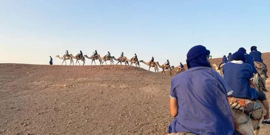 Marrakech: Quad Bike and Camel, Dinner Show in Agafay Desert - The live folklore show: Berber music, belly dancing, and fire