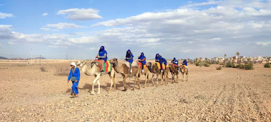 Marrakech: quad bike and Camel Ride in Marrakech - Marrakech Palmeraie: Why quad bikes and camels actually work together