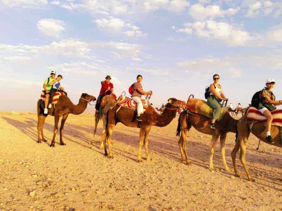 Marrakech : Quad Bike and Camel Ride with dinner in Agafay - Who should book this tour, and who might want a different plan